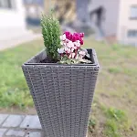 Apartament Casa Acero Tirano